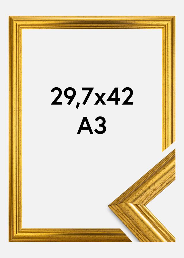 Okvir Västkusten Akrilno steklo Zlata 29,7x42 cm (A3)
