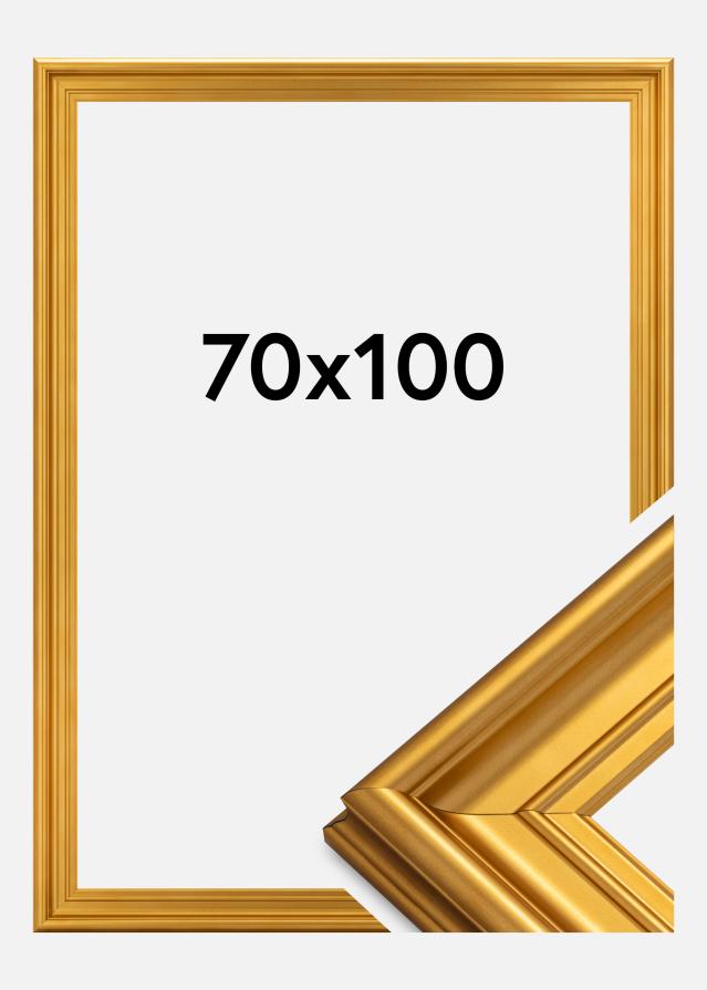 Okvir Mora Premium Zlata 70x100 cm