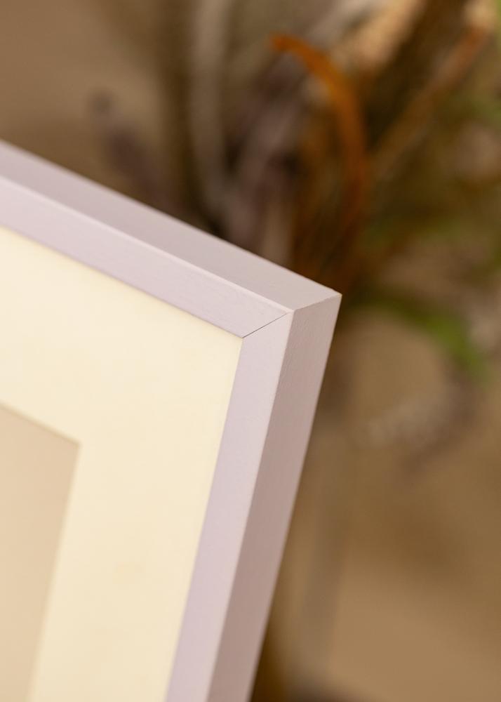 Colorful Akrilno steklo Vijolična 42x59,4 cm (A2)