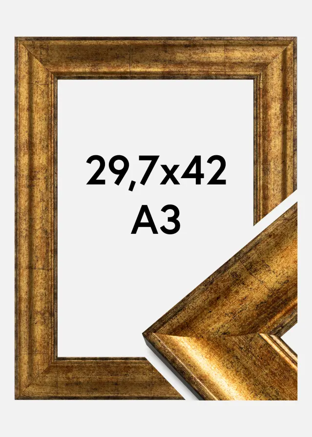 Okvir Saltsjöbaden Akrilno steklo Zlata 29,7x42 cm (A3)
