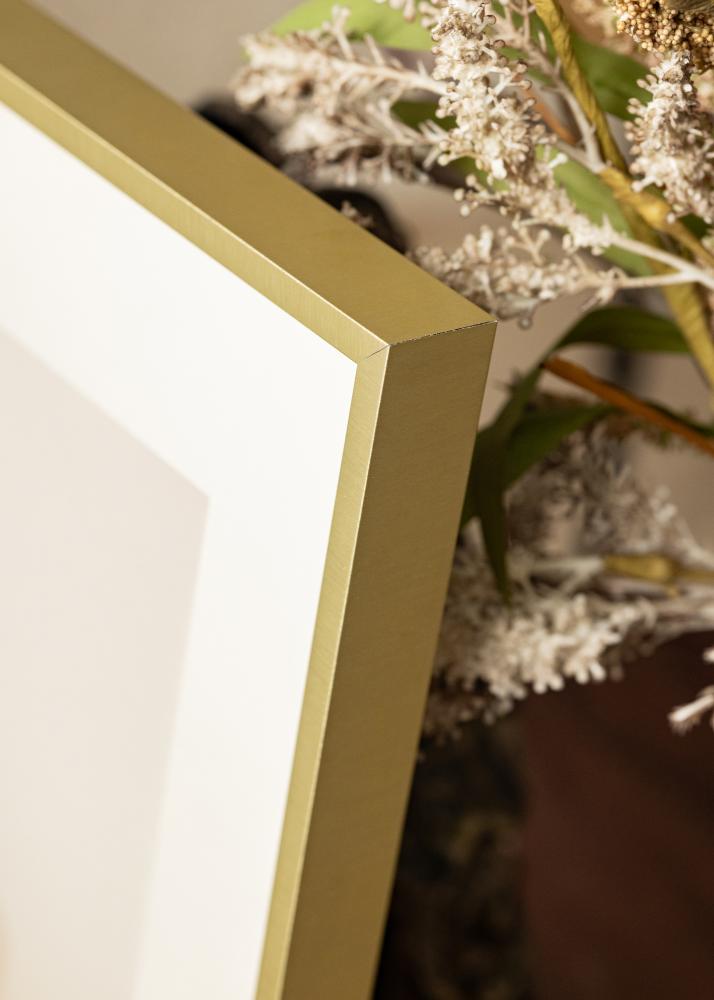 Okvir Nielsen Premium Alpha Brušen Zlata - Poljubna velikost