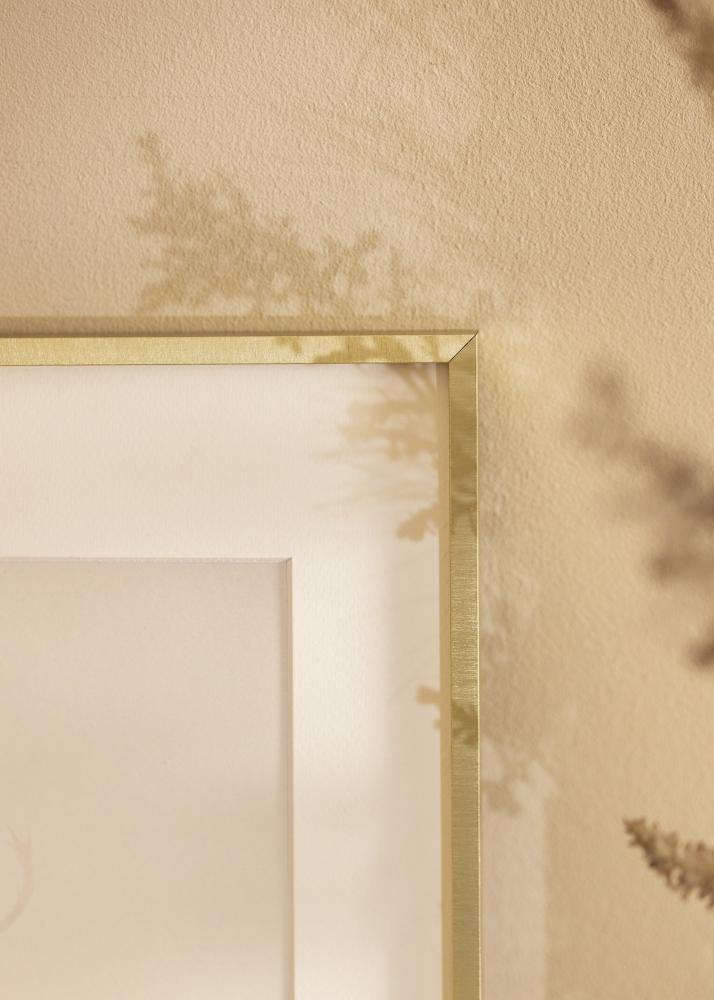 Okvir Nielsen Premium Alpha Brušen Zlata - Poljubna velikost