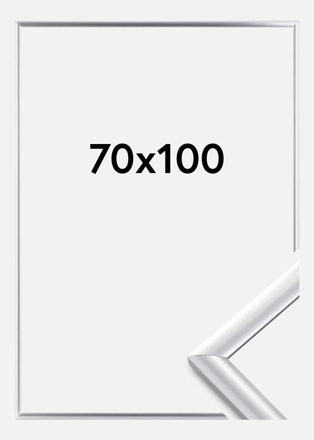 Okvir Trendstyle Srebrna 70x100 cm
