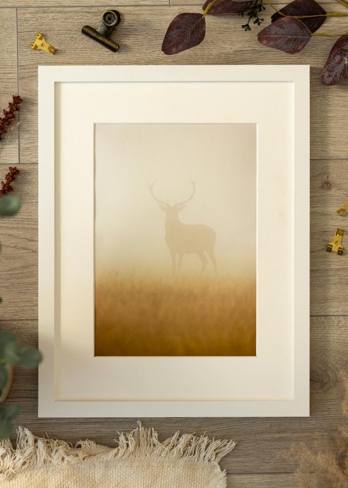 Okvir BGA Classic Akrilno steklo Bela 60x60 cm