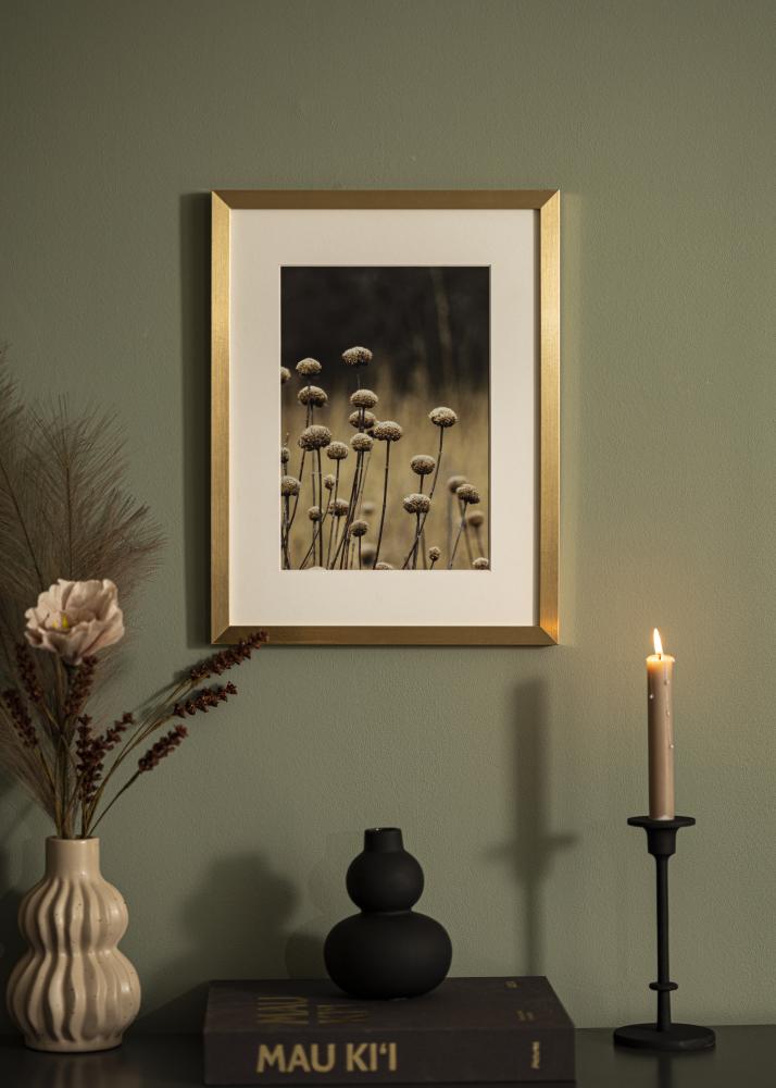 Okvir Selection Akrilno steklo Zlata 70x70 cm