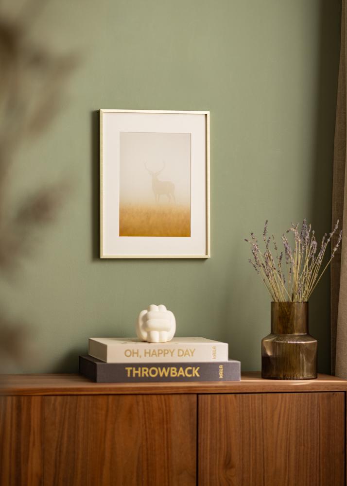 Okvir Nielsen Premium Alpha Brušen Zlata - Poljubna velikost