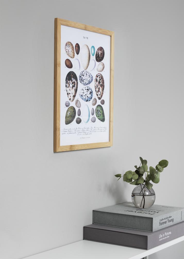 Okvir Hoei Bambus Akrilno steklo 70x100 cm