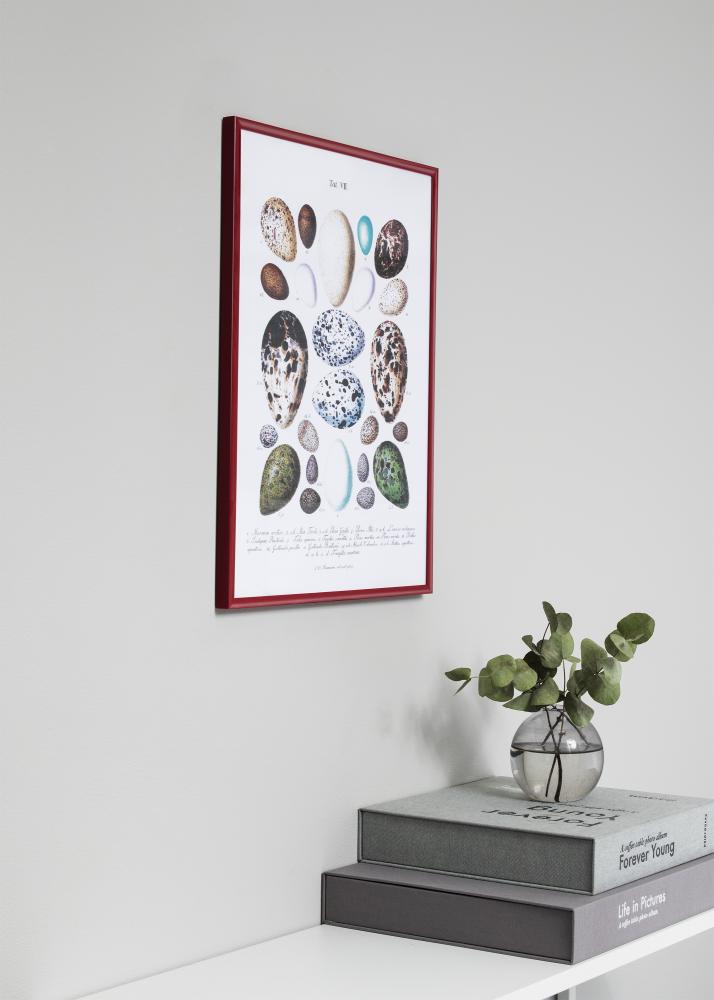 Okvir New Lifestyle Rdeča 30x40 cm