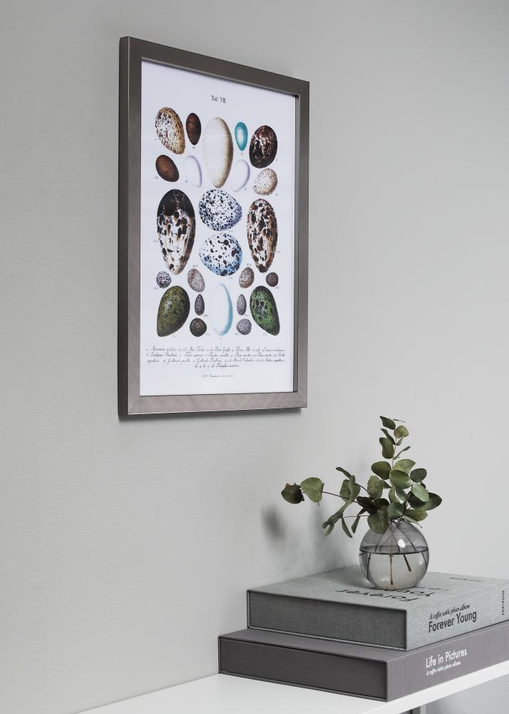 Okvir Uppsala Srebrna 12x12 cm