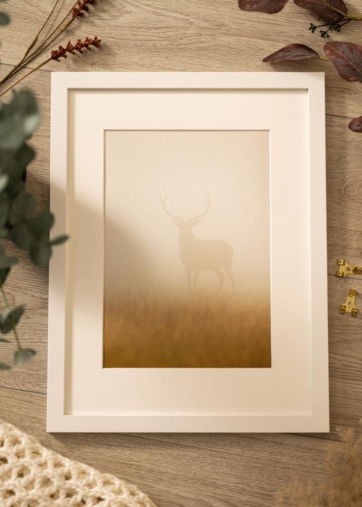 Okvir Deco Akrilno steklo Bela 60x80 cm