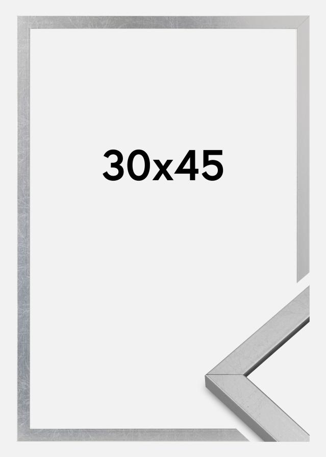 Okvir Minerva Akrilno steklo Srebrna 30x45 cm