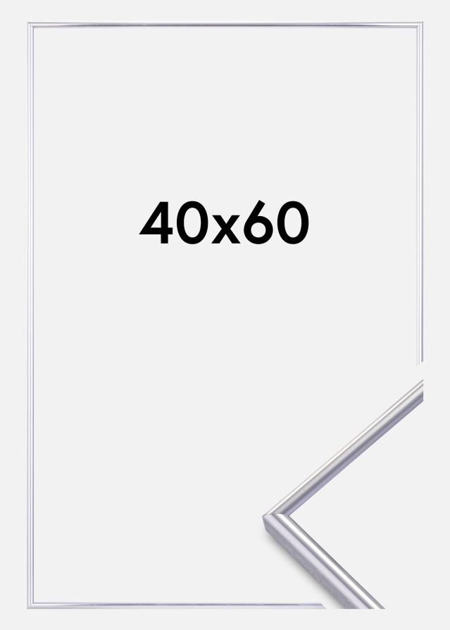 Okvir Can-Can Srebrna 40x60 cm