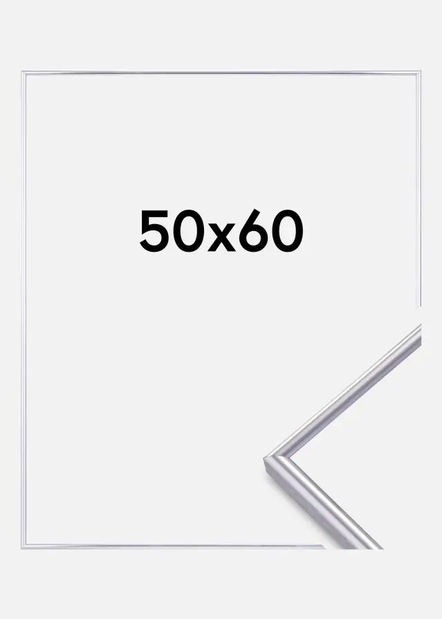 Okvir Can-Can Srebrna 50x60 cm