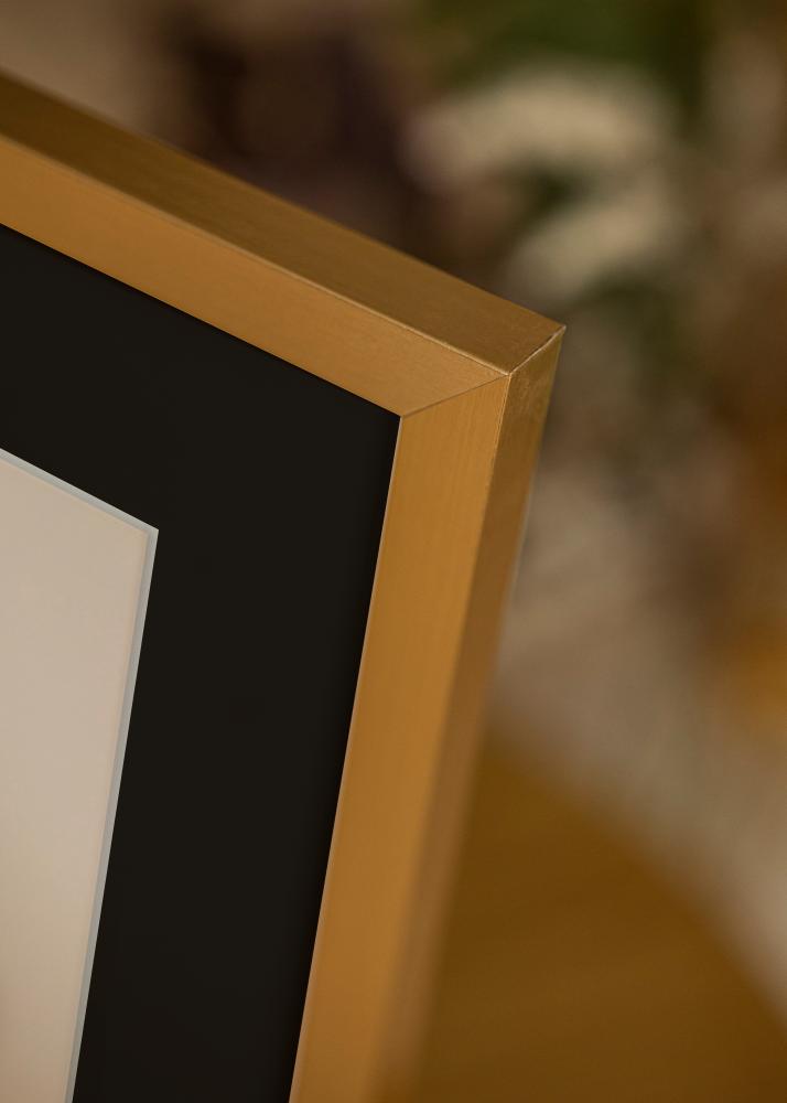 Okvir Selection Zlata 13x18 cm - Paspartŭ Črna 9x12 cm