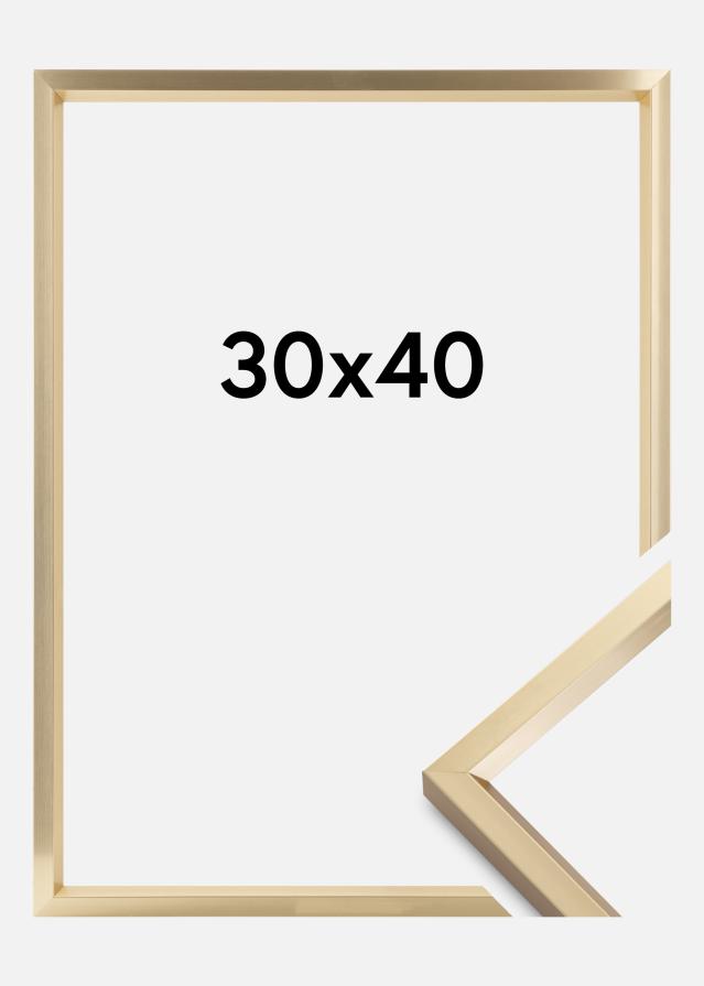 Okvir Steel Style Zlata 30x40 cm