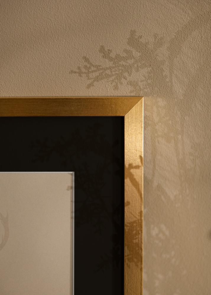 Okvir Selection Zlata 13x18 cm - Paspartŭ Črna 9x12 cm