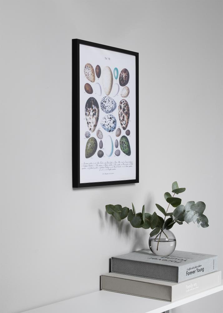 Okvir Oslo Črna 60x60 cm - Paspartŭ Črna 50x50 cm