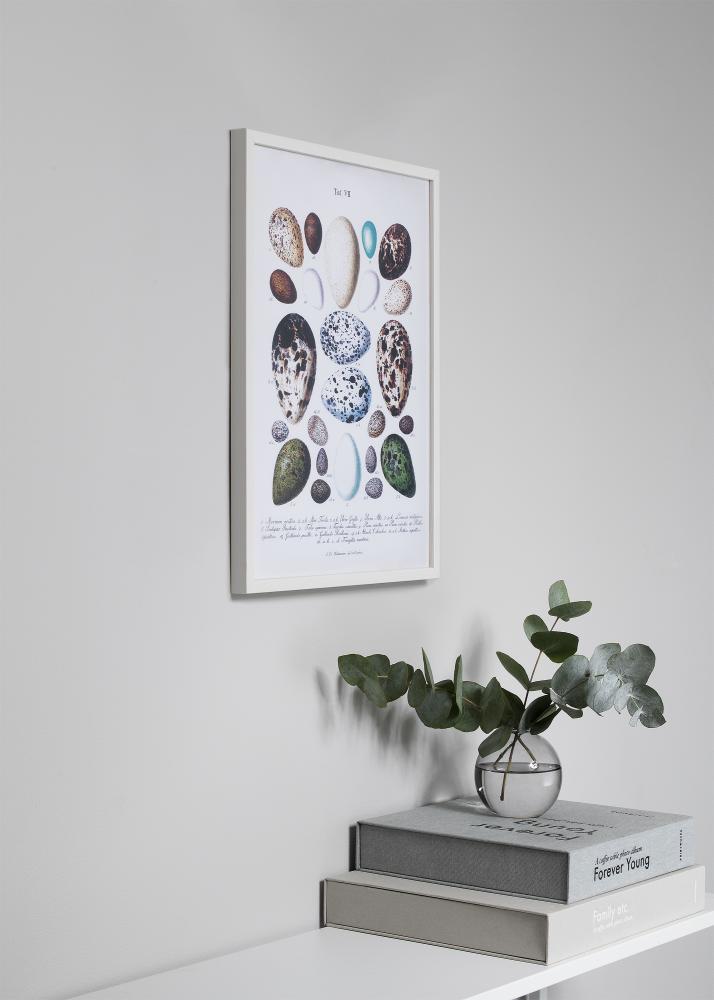 Okvir Oslo Bela 30x40 cm - Paspartŭ Črna 18x27 cm