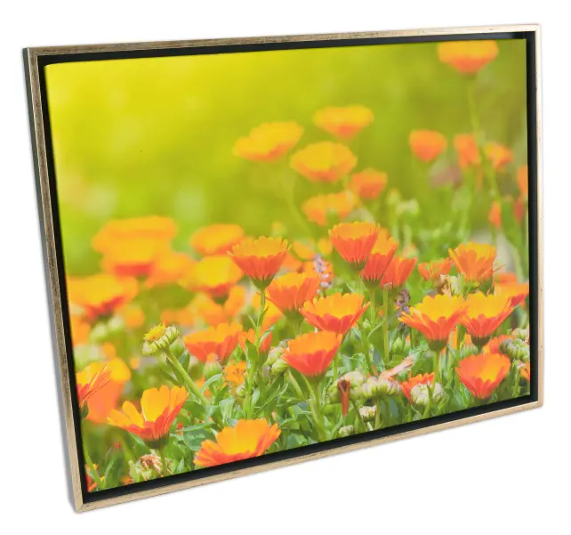 Okvir Åsen Okvir za platno Temno-siva/Srebrna - Poljubna velikost