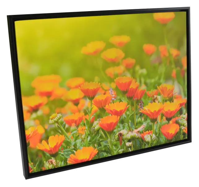 Okvir Åsen Okvir za platno Črna - Poljubna velikost