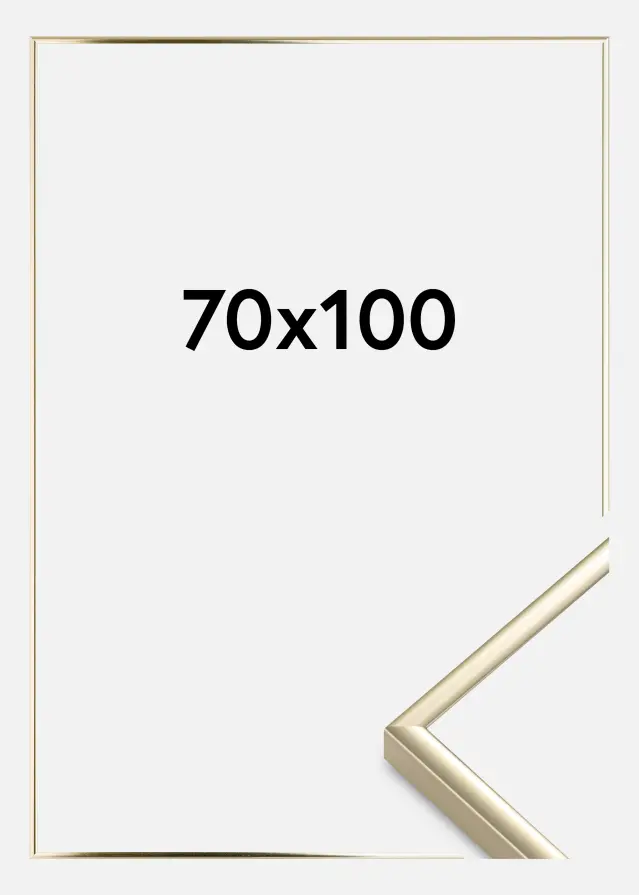 Okvir Aluminij Akrilno steklo Zlat sijaj 70x100 cm