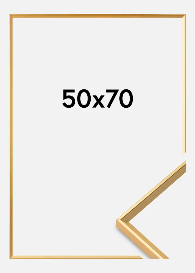 Okvir Desire Akrilno steklo Zlata 50x70 cm