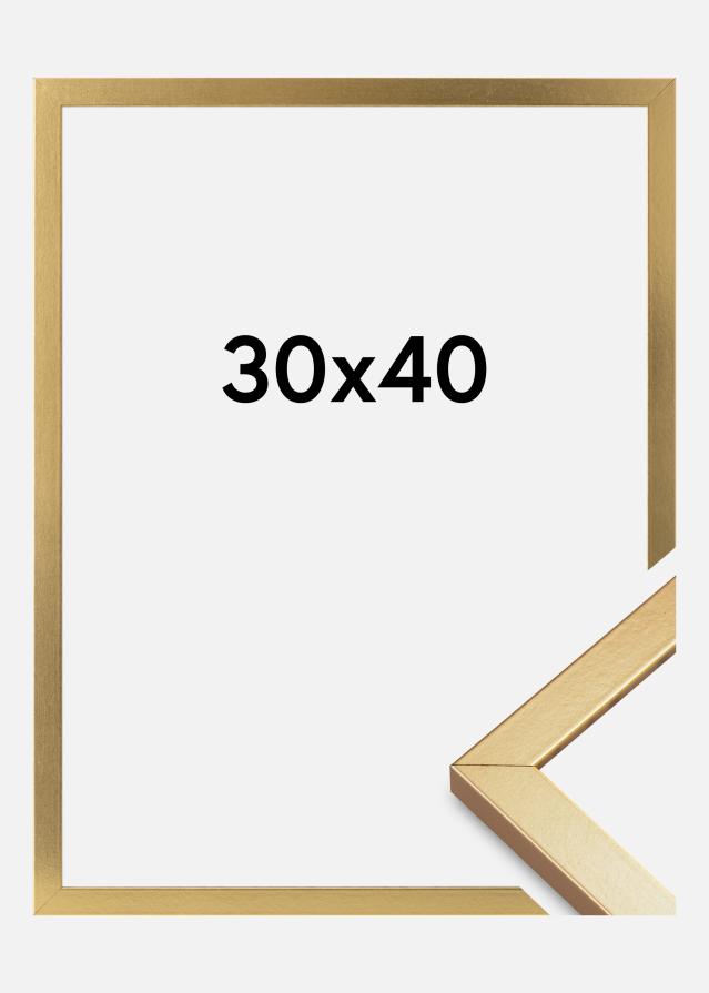 Okvir Minerva Akrilno steklo Zlata 30x40 cm