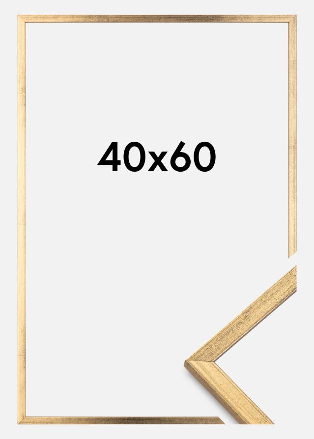 Okvir Galant Zlata 40x60 cm