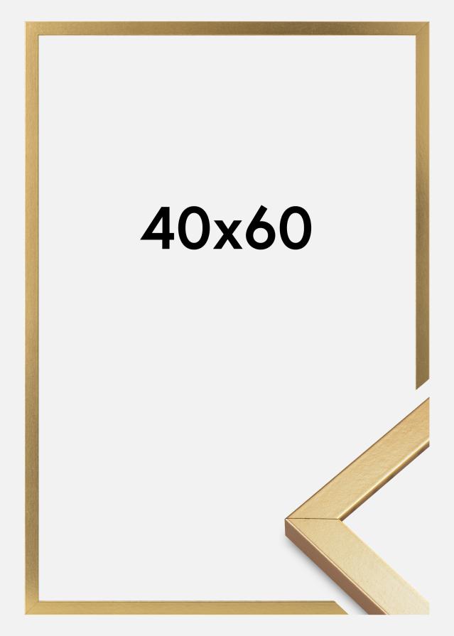 Okvir Minerva Akrilno steklo Zlata 40x60 cm