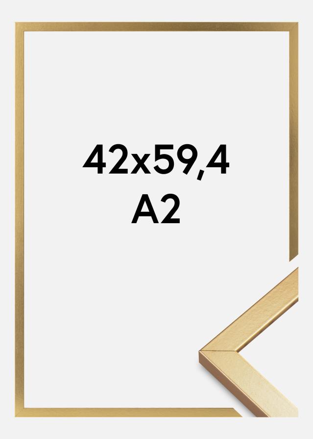 Okvir Minerva Akrilno steklo Zlata 42x59,4 cm (A2)