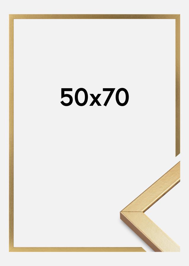 Okvir Minerva Akrilno steklo Zlata 50x70 cm