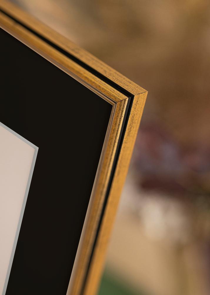 Okvir Horndal Zlata 24x30 cm - Paspartŭ Črna 18x24 cm