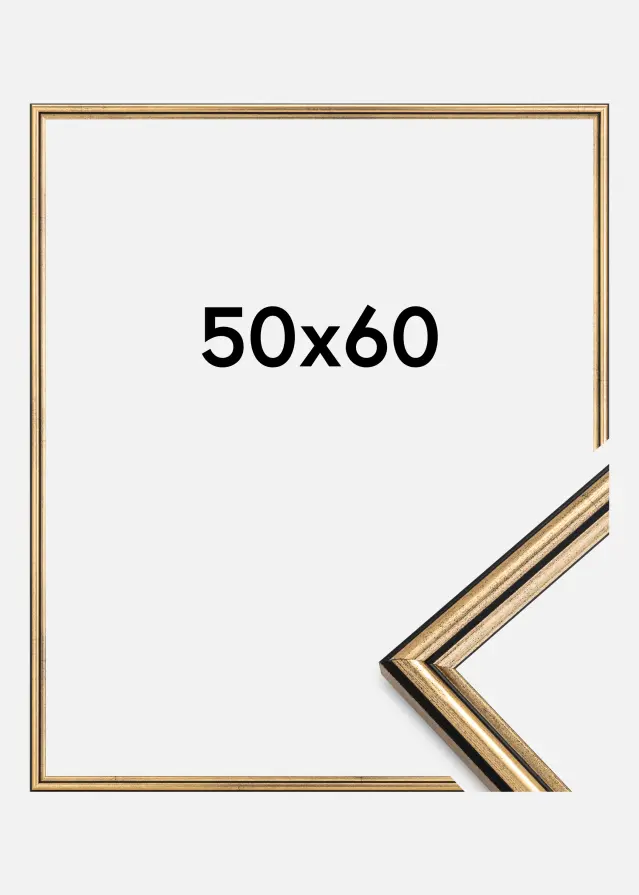 Okvir Horndal Akrilno steklo Zlata 50x60 cm