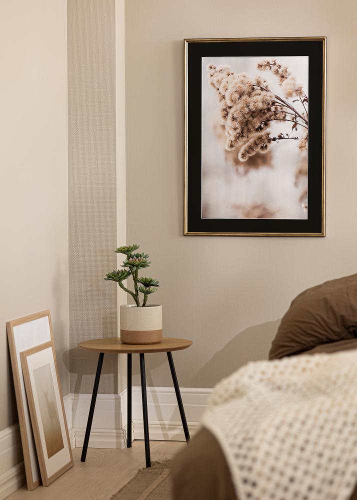 Okvir Horndal Zlata 24x30 cm - Paspartŭ Črna 18x24 cm