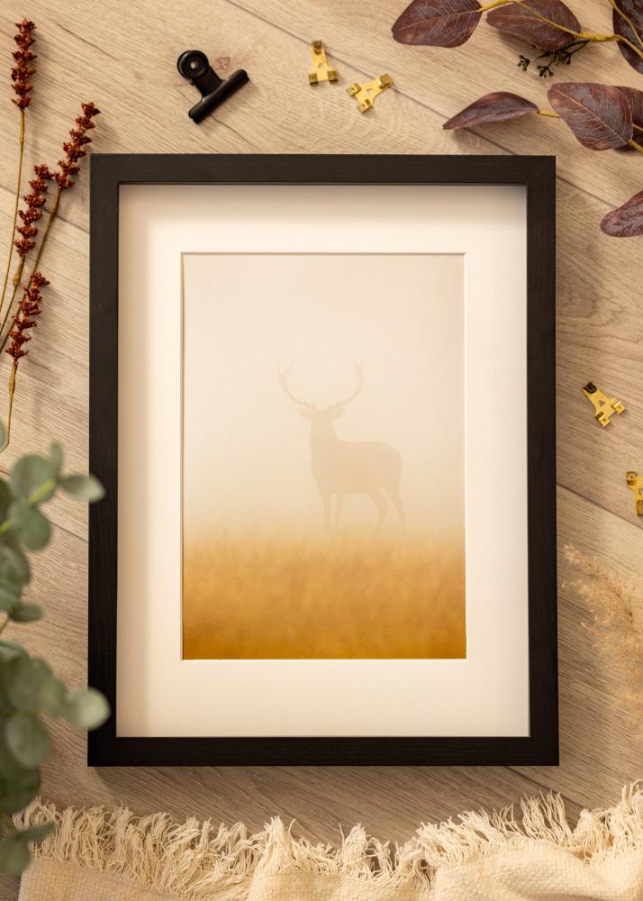 BGA Škatlasti okvir Akrilno steklo Črna 29,7x42 cm (A3)