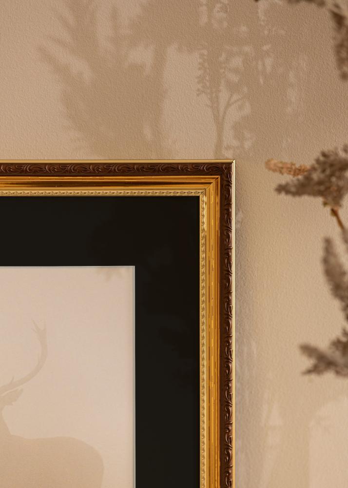 Okvir Abisko Zlata 24x30 cm - Paspartŭ Črna 18x24 cm