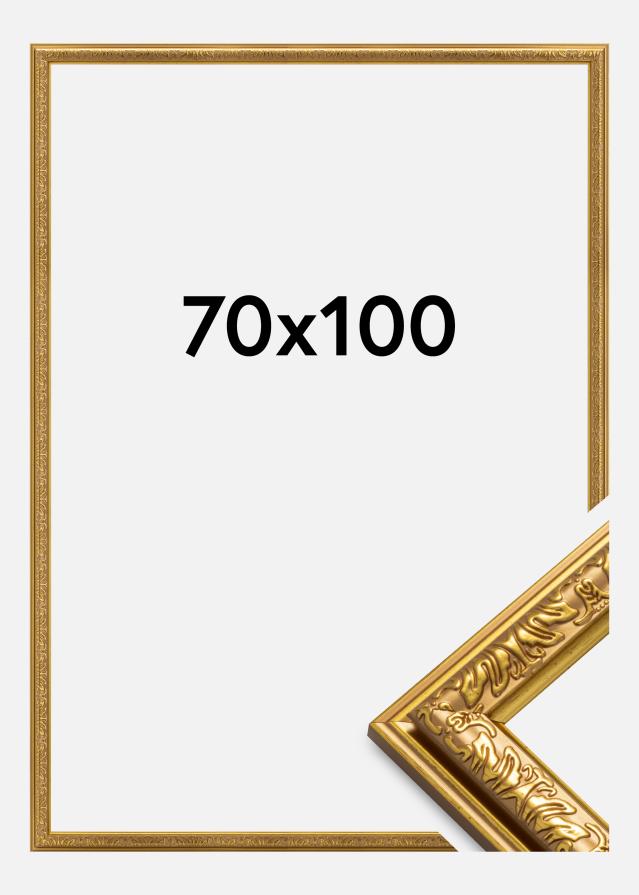Okvir Nostalgia Zlata 70x100 cm