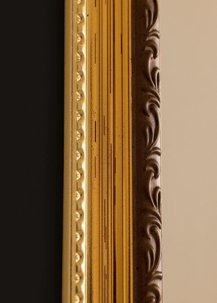 Okvir Abisko Zlata 24x30 cm - Paspartŭ Črna 18x24 cm