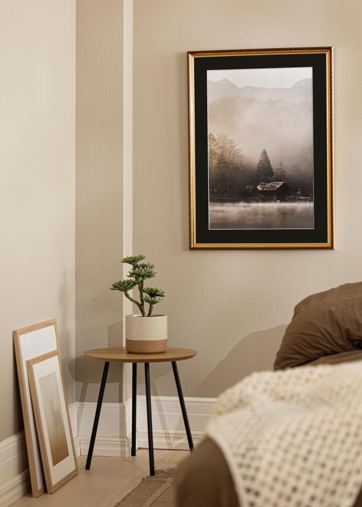 Okvir Abisko Zlata 24x30 cm - Paspartŭ Črna 18x24 cm