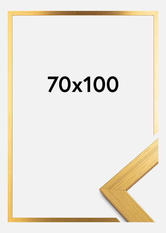 Okvir Gold Wood 70x100 cm