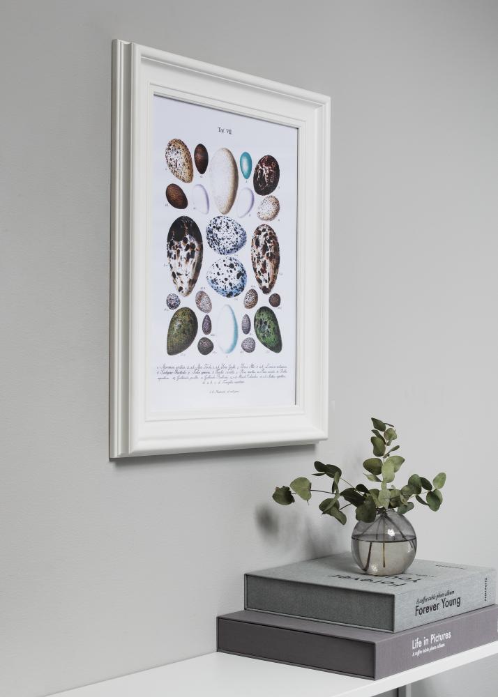 Okvir Mora Premium Bela 33x95 cm