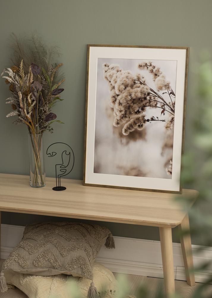 Okvir Galant Zlata 50x60 cm