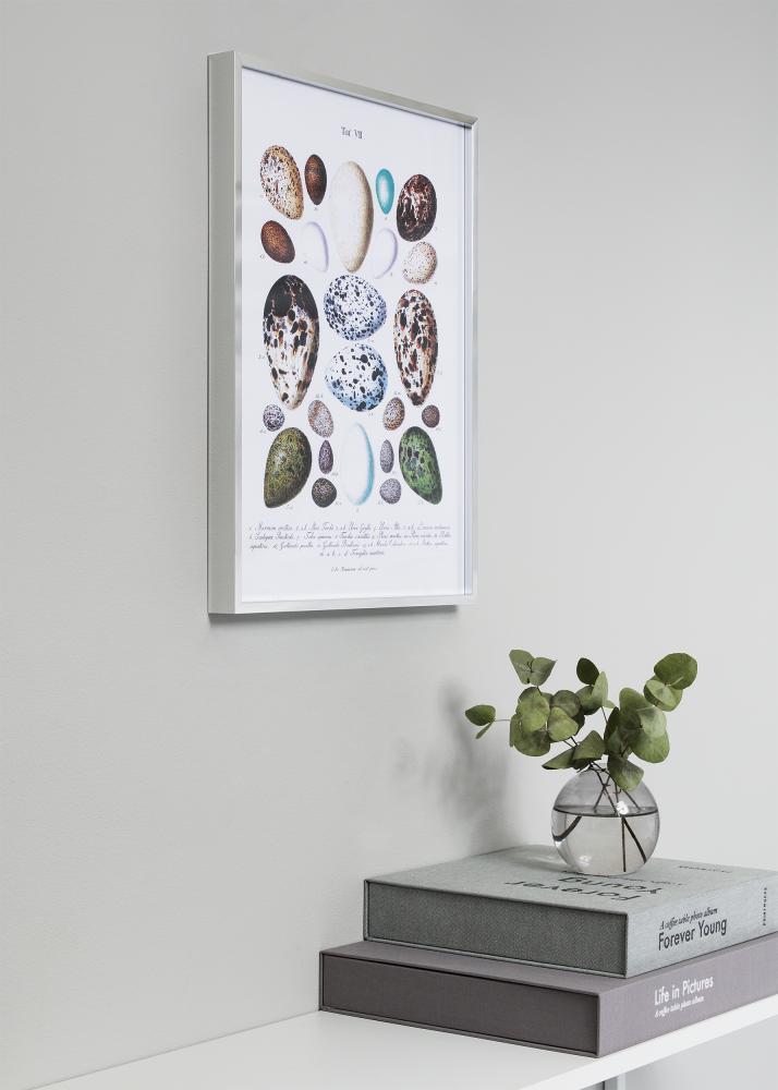 Okvir Nielsen Premium Alpha Srebrn sijaj 60x60 cm