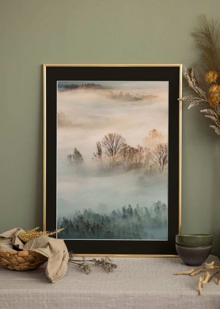 Okvir New Lifestyle Zlata 50x70 cm - Paspartŭ Črna 16x24 inches