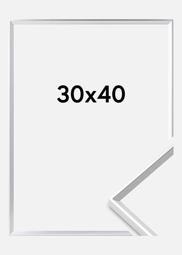 Okvir Desire Akrilno steklo Srebrna 30x40 cm