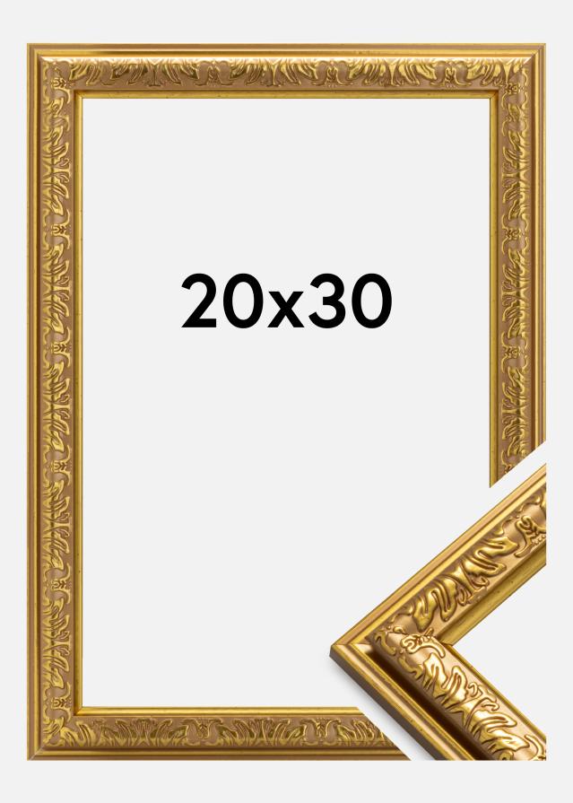 Okvir Nostalgia Zlata 20x30 cm
