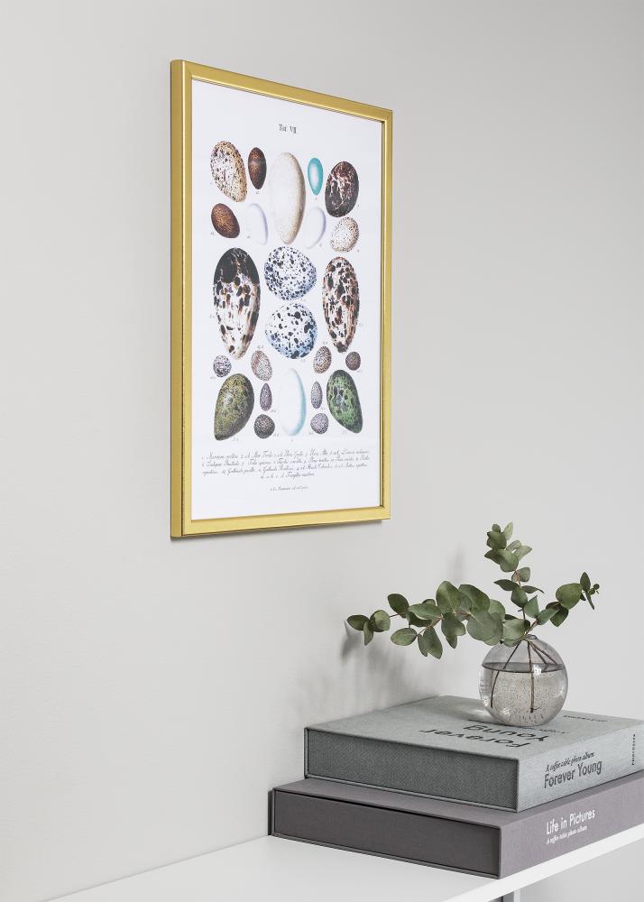 Okvir Slim Mat Antirefleksno steklo Zlata 13x18 cm