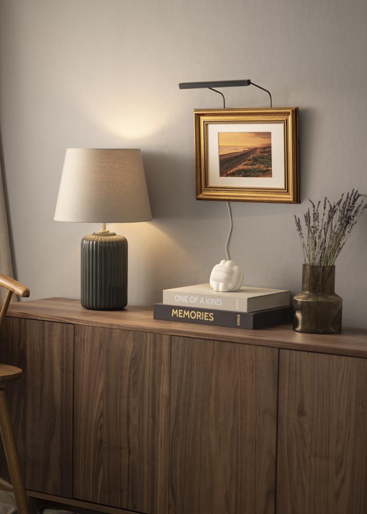 BLP 117 Osvetljava za slike 25 cm - Črna