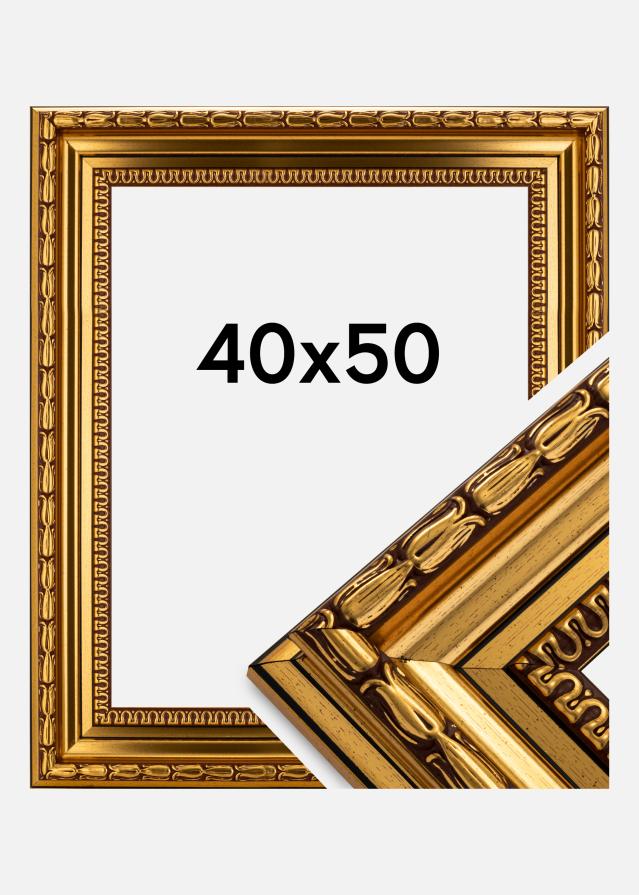 Okvir Birka Premium Zlata 40x50 cm
